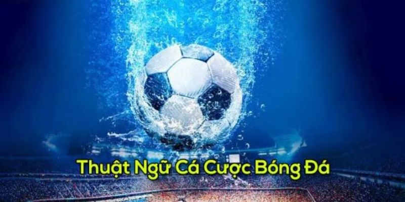 Những thuật ngữ cá độ phổ biến