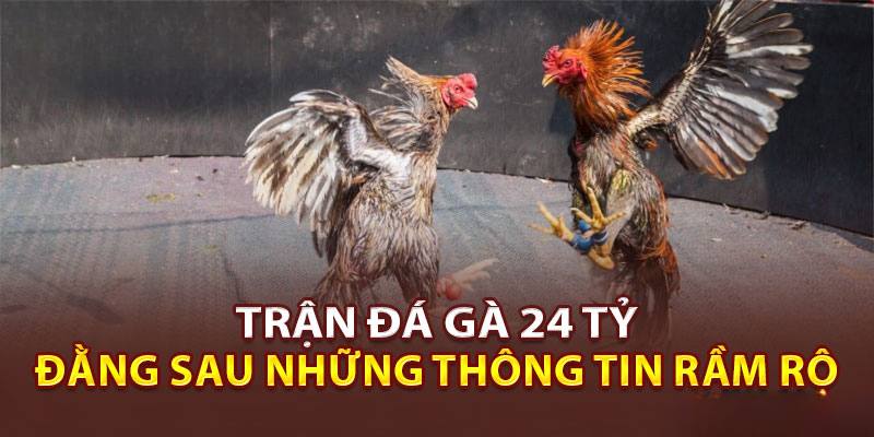 Trận đá gà 24 tỷ là cuộc đối đầu kinh điển của Phúc Bình Dương và Mít Trà Cú